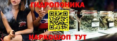 гидропоника Пушкино