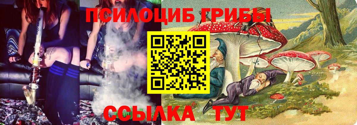 Псилоцибиновые грибы Psilocybine cubensis Печора